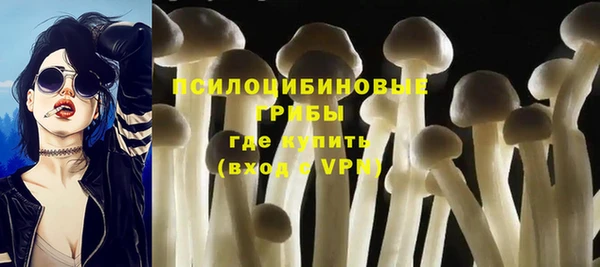 круглые Абаза