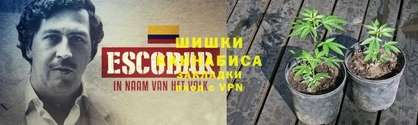 первитин Абинск