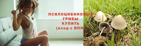 круглые Абаза