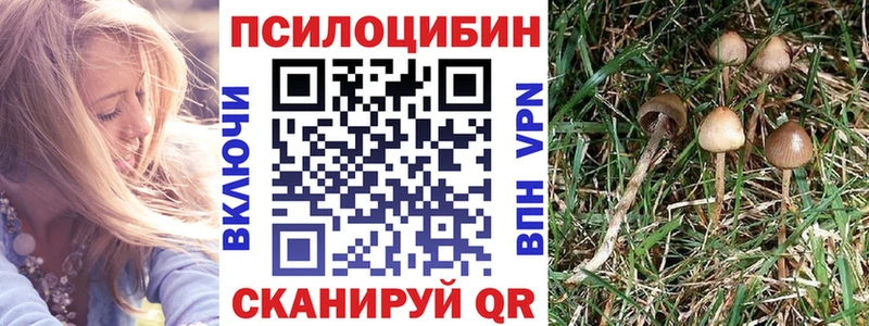 цена наркотик mega маркетплейс Псилоцибиновые грибы прущие грибы Вичуга